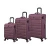 IT Luggage Census - 3pc Set (Nostalgia Rose)