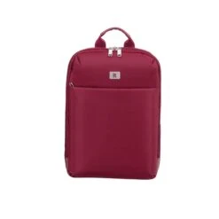IT Luggage Lustrous Luxe - Backpack (French Port)