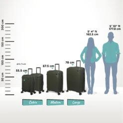 IT Luggage Spontaneous - Medium Plus (Olive Night) 23 IT Luggage Spontaneous - Medium Plus (Olive Night) -IT Luggage Shop Spontaneous Full set olive Relative Size ecedc72d 5086 4127 b448 e8c9cbed47bd